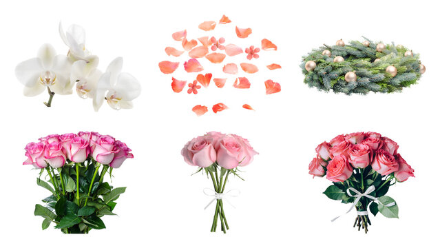 Set of isolated botanical elements including orchids scattered peach petals a pine wreath with golden baubles and pink rose bouquets with green stems on a transparent background comprehensive
