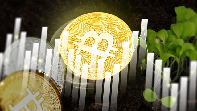 Growth of cryptocurrency with bitcoin coin on soil and plant seedlings