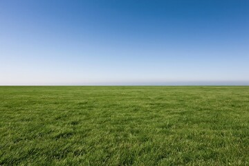 Obraz premium The Expansive Grass Field Under A Clear Blue Horizon Sky