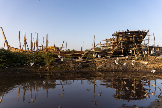 Boat skeletons reflected in water, Mandvi, India