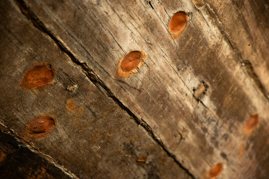 Close-up of wooden dowels on ship hull, Mandvi, India