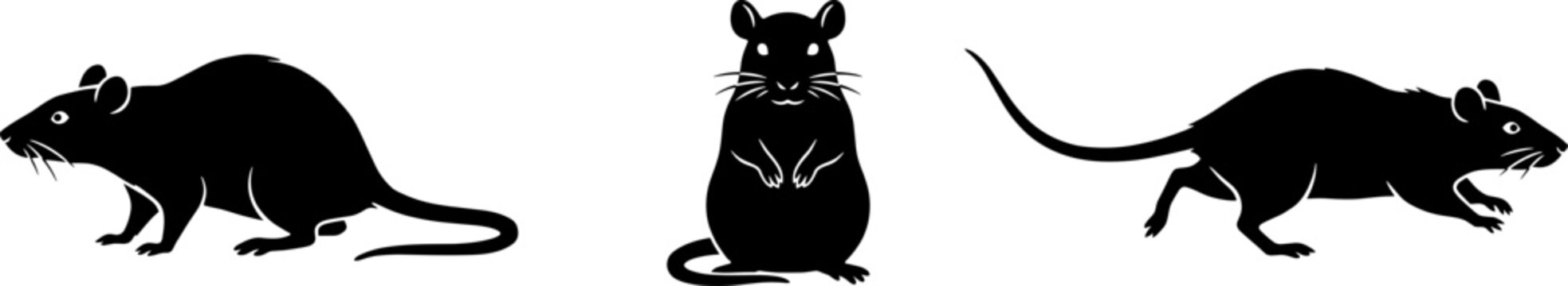 Set of three black rat silhouettes, including a side profile, a front-facing standing rodent, and a running mouse isolated on a white background