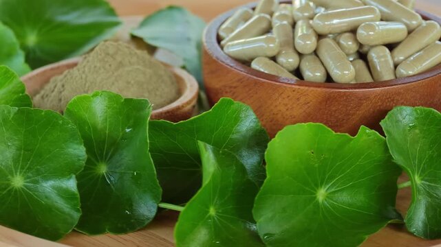 Centella asiatica (Gotu Kola), Gotu Kola powder, and Gotu Kola capsules herbs.