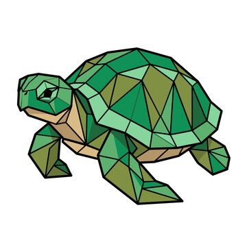 Geometric Turtle Illustration Isolated