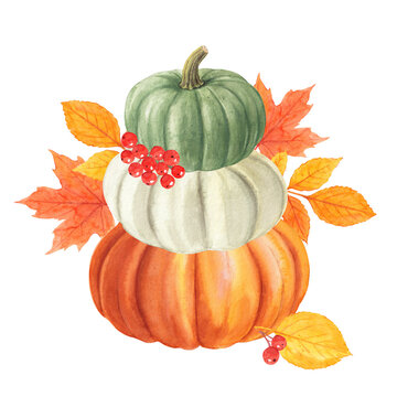 Stacked Pumpkins with Autumn Leaves and Berries Watercolor Illustration