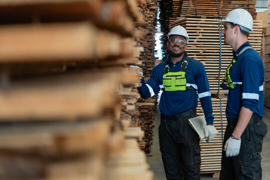 Inside a lumber warehouse, two colleagues check inventory while standing between tall timber stacks and holding a laptop.