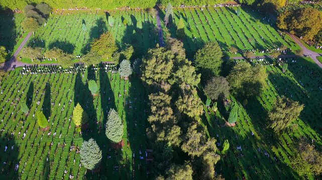 Aerial Video of Manchester Southern Cemetery Sections and Tree Lined Paths at Sunrise. 