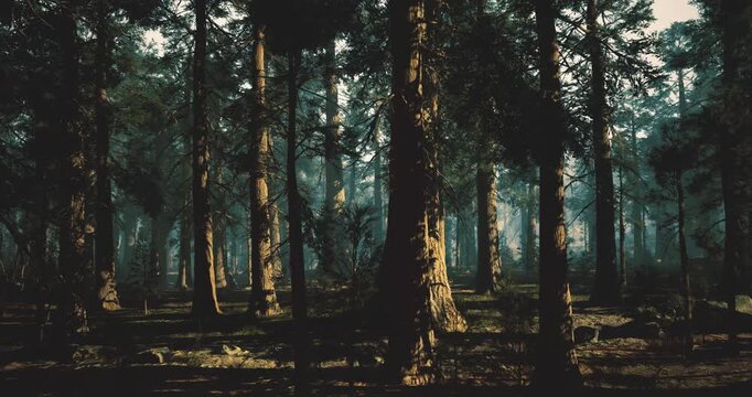 quiet forest refuge bathed in soft light, cozy shelter among trees perfect for retreat and calm, gentle foliage and hush create restorative scene