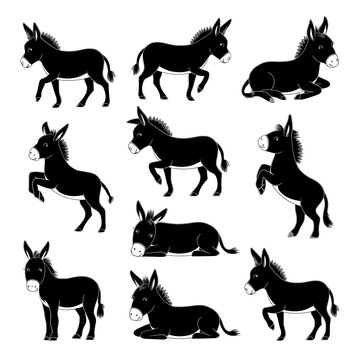 Set of different type of black cute Donkey outline vector illustration silhouettes in white background