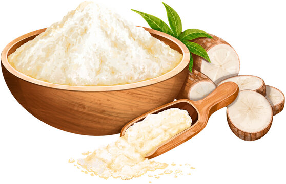 Indonesian Mocaf Cassava Flour Illustration