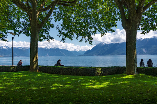 Scenic view of the tree-lined promenade along Lake Geneva in Montreux, Switzerland