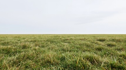 Obraz premium Wide view of a flat grass field stretching to the horizon under an overcast sky
