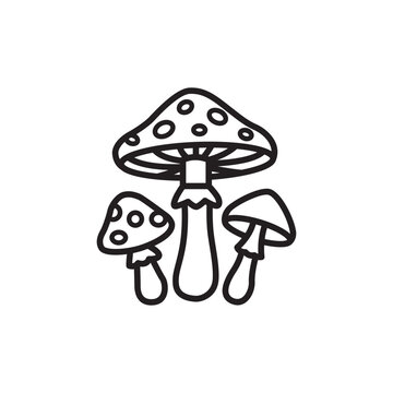 Simple outline icon of a group of magic poisonous toadstool mushrooms.