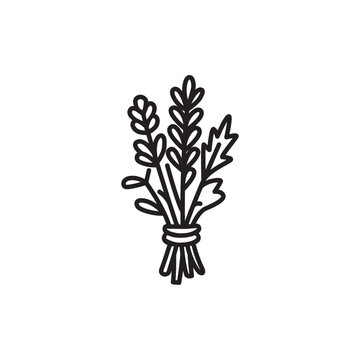 Minimalist line art icon of a tied bundle of dried magic herbs for witchcraft. 