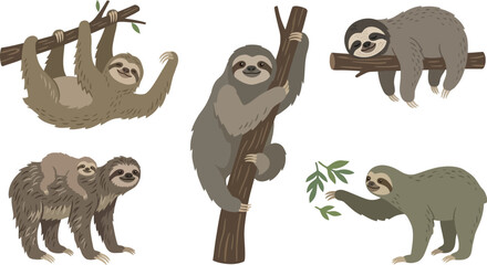 Obraz premium Diverse Sloth Poses in Natural Habitat Vector Illustration