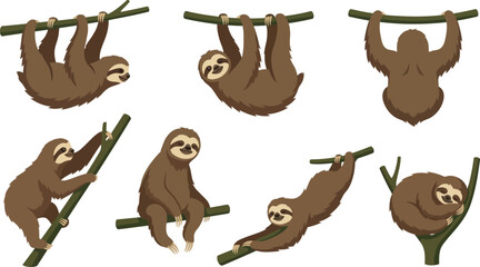 Obraz premium Sloths hanging on branches in diverse poses with simple flat design on white background