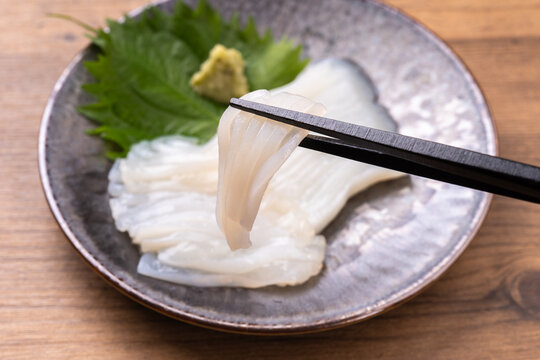 いかの刺身