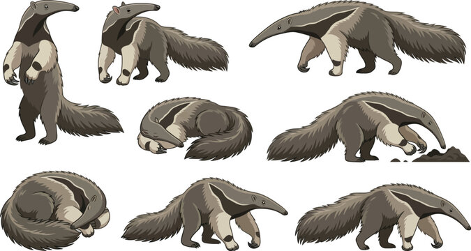 Anteater poses in various natural actions with detailed fur texture in flat vector style