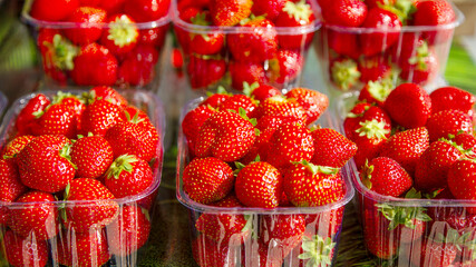 Fresh ripe organic strawberries in plastic containers for sale. © Валентина Хруслова