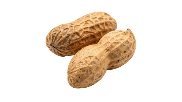Two organic peanuts in shell whole raw natural snack isolated on transparent background
