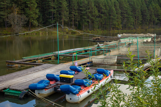 Trout farming facility with wooden pier cages and inflatable catamaran workboat on a river, sustainable aquaculture