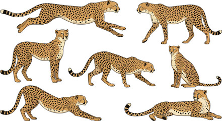 Obraz premium Cheetahs in various poses during natural light vector illustration abstract concept