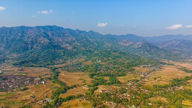 Aerial view of Ngadiharjo village surrounded by terraced rice fields, lush green hills, and rural houses under a clear blue sky in Borobudur, Central Java, Indonesia.
