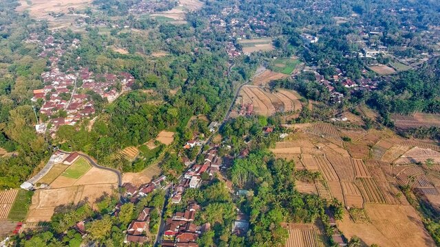 Aerial view of Karangrejo village surrounded by lush tropical trees, terraced rice fields, and a winding road in the rural landscape. Borobudur, Central Java, Indonesia.