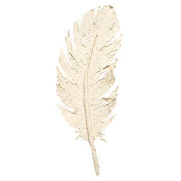 Dried feather shape torn paper element on transparent background