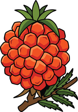 Ripe orange raspberry berry on a small branch isolated on white background