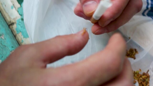 Man rolling a cigarette with hands using loose tobacco on white paper