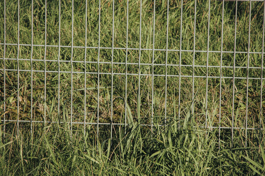 Galvanized wire fence with rectangular grid pattern overgrown by tall green grass and wild vegetation in a sunlit rural field, outdoor boundary detail