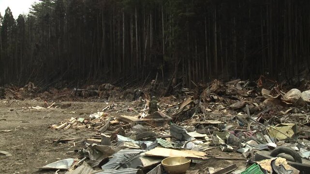 Burnt Out Wreckage And Trees In Aftermath Of Tsunami In Japan