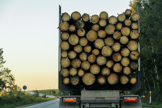 Riga, Latvia - September 27, 2026: Timber truck carrying stacked round logs on a rural road with forest and open sky, viewed from behind as a forestry transport scene