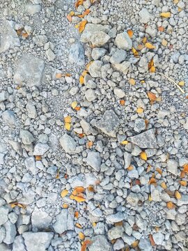 Background of gray gravel rocks and yellow leaves suitable for naturethemed designs, landscaping websites, print materials, or environmental concept illustrations.