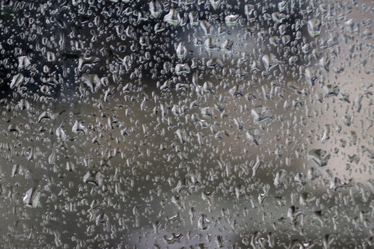 Each droplet catches and reflects soft light, creating tiny highlights