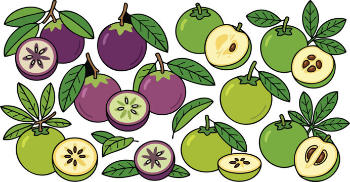 Whole and sliced star apple fruits arranged on white background