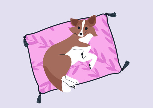 Delightful Sheltie puppy relaxing on a soft silk pillow, their playful nature evident, The warm indoor atmosphere enhances their charm and cuddly appearance.