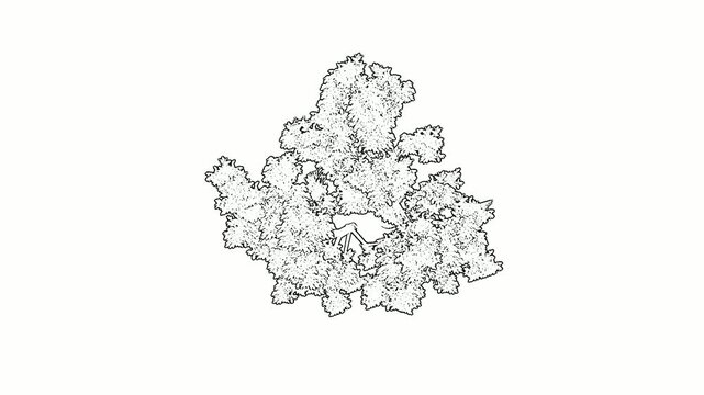 Abstract fractal shape, intricate pattern, digital art, black and white