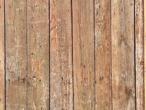 Weathered vertical wooden fence plank close up with peeling paint, visible wood grain, knots, nail holes, and aged patina in rustic brown and beige tones