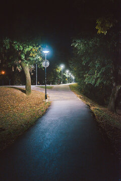 Promenade in the park, night scene in autumn