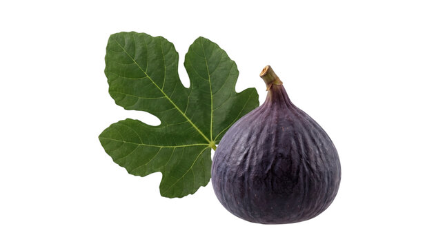 Ripe purple fig with green leaf isolated on transparent