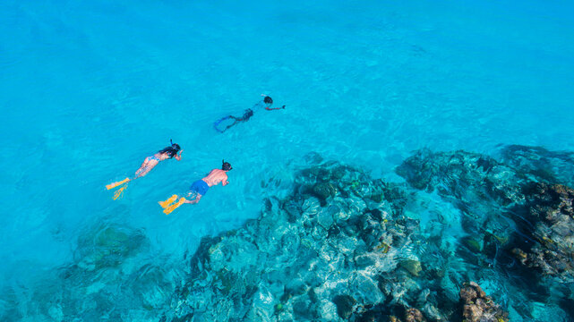 Aerial view of people snorkeling in the clear turquoise water of the Los Roques archipelago with vibrant coral reefs visible below Los Roques, Dependencias Federales, Venezuela.