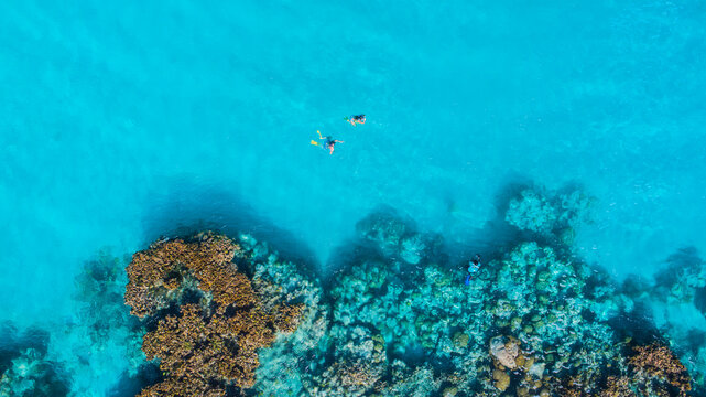 Aerial view of snorkelers swimming over a vibrant coral reef in the crystal clear turquoise waters of the Los Roques archipelago in Los Roques, Dependencias Federales, Venezuela.