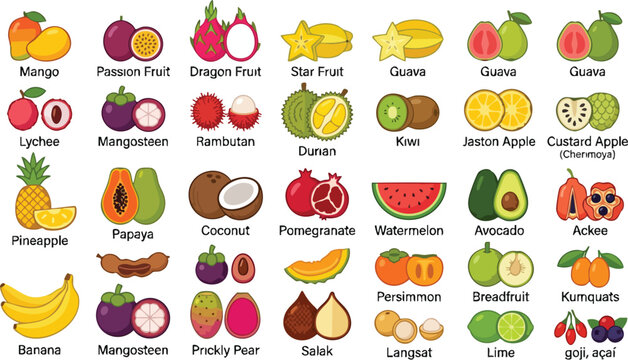 Tropical fruit icons displayed with names on white background