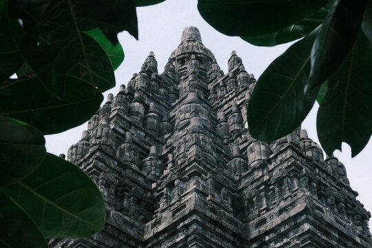 Intricately carved Prambanan temple towers framed by large green leaves