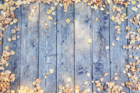 background, autumn fallen yellow leaves on an old wooden board surface, abstract October background for a frame