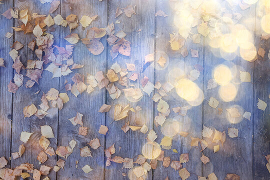 sunlight on an autumn background, fallen leaves warm yellow background autumn frame in the rays of the sun