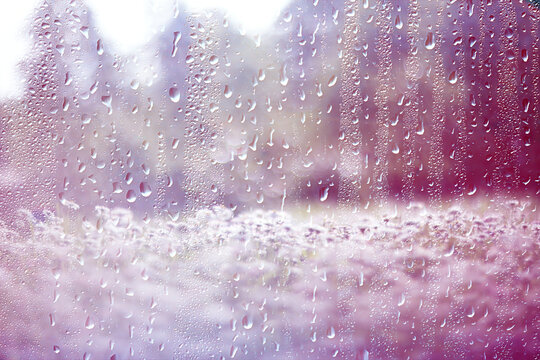 background of rain drops on glass, abstract summer grass and flowers in wet nature freshness