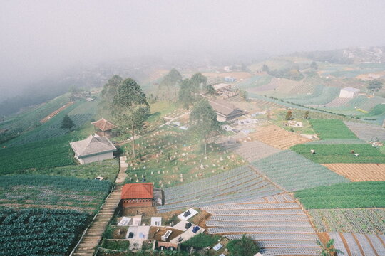 Foggy terraced farmland with a village cemetery